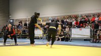 IMG_3390.JPG